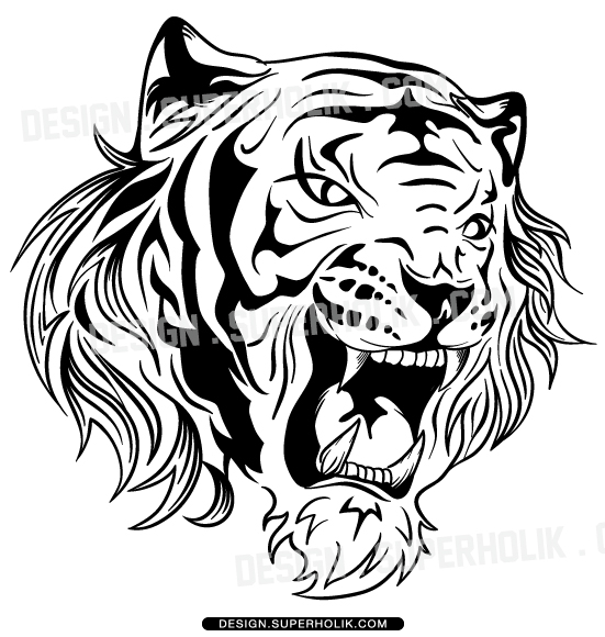 Tiger vector clipart | hellovector